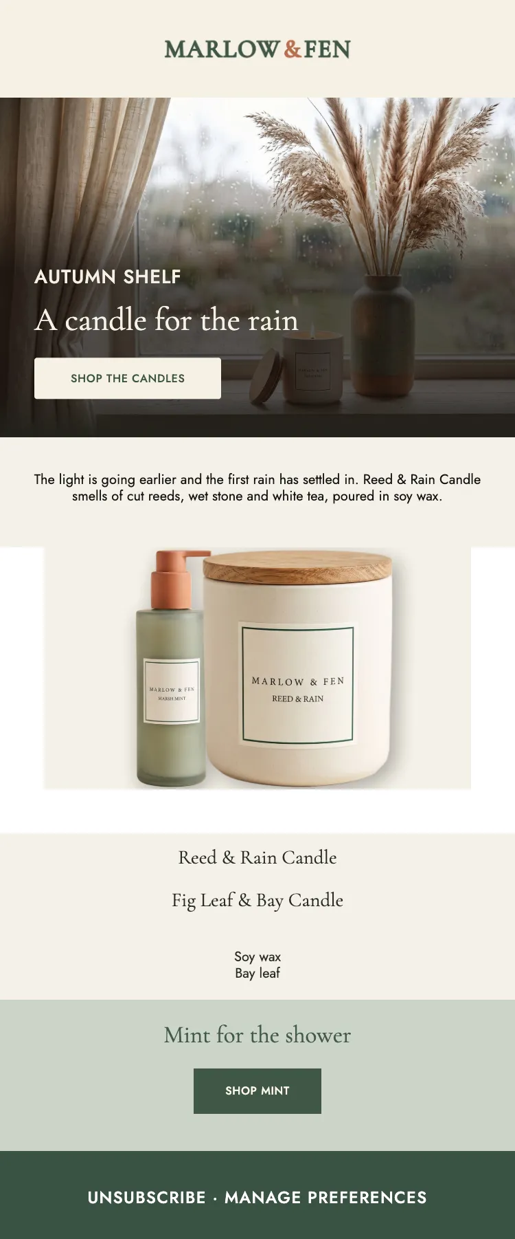 The wet weeks begin: full generated Marlow & Fen email, phone render