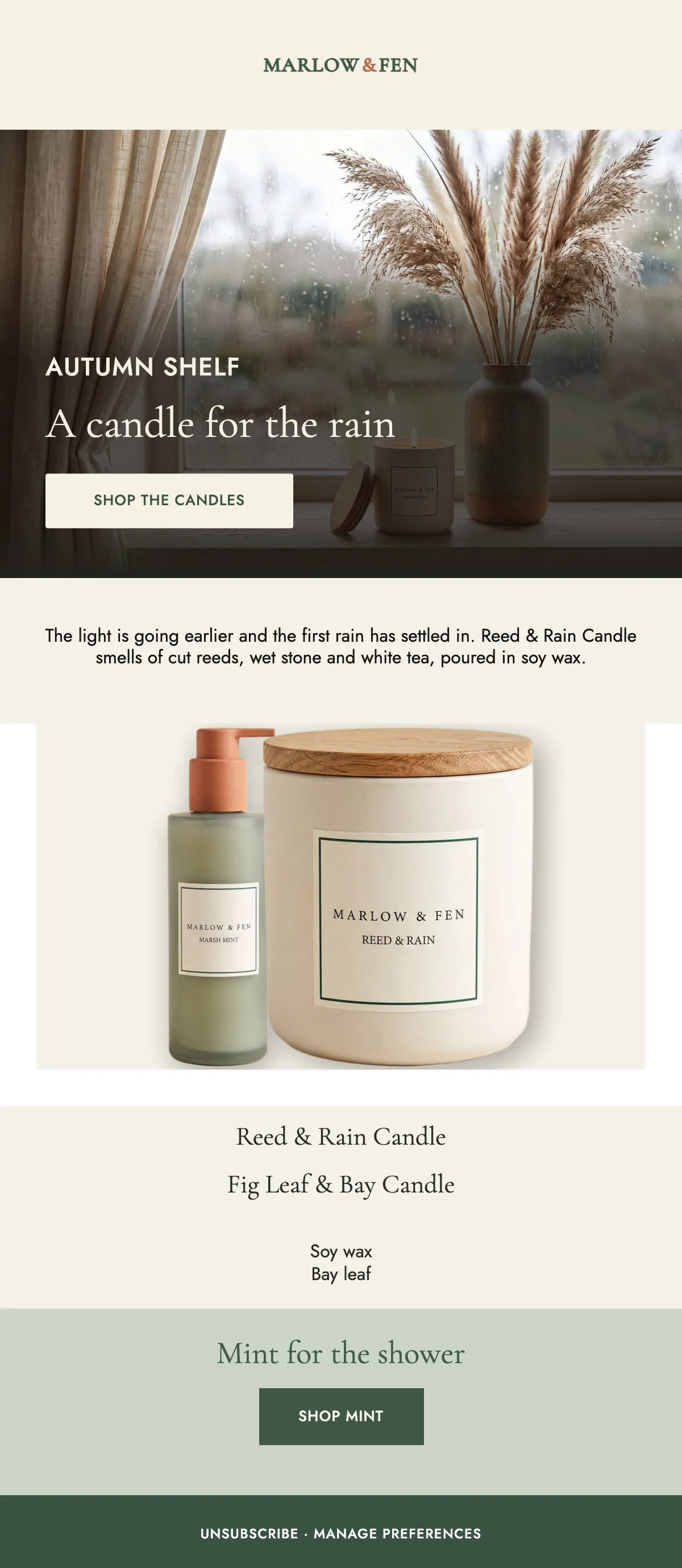 The wet weeks begin: full generated Marlow & Fen email, desktop render